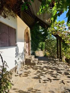 KRÁĽOVSKÝ CHLMEC - CHATA S VINNOU PIVNICOU A UDRŽIAVANOU VINICOU.