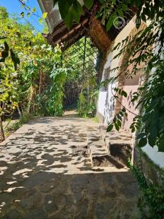 KRÁĽOVSKÝ CHLMEC - CHATA S VINNOU PIVNICOU A UDRŽIAVANOU VINICOU.