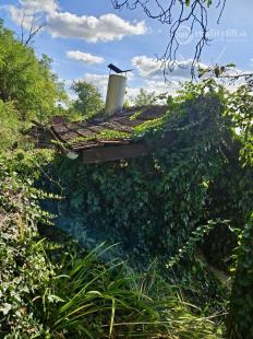 KRÁĽOVSKÝ CHLMEC - CHATA S VINNOU PIVNICOU A UDRŽIAVANOU VINICOU.