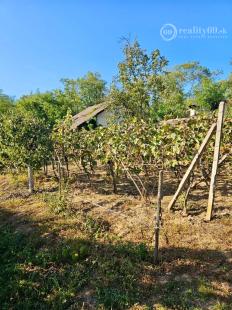 KRÁĽOVSKÝ CHLMEC - CHATA S VINNOU PIVNICOU A UDRŽIAVANOU VINICOU.