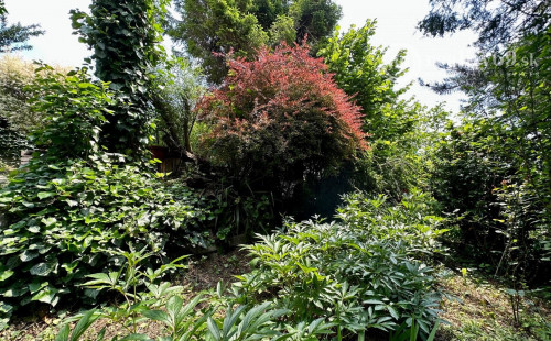 VYŠNÁ HUTKA -  DREVENÁ CHATA S KUCHYNKOU, TERASA, SKLAD, UPRAVENÝ POZEMOK.