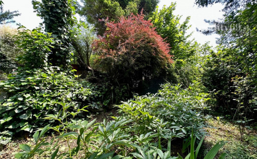 VYŠNÁ HUTKA -  DREVENÁ CHATA S KUCHYNKOU, TERASA, SKLAD, UPRAVENÝ POZEMOK.