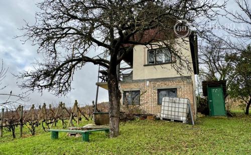 MAĎARSKO - BODVASZILAS VINNÁ PIVNICA, CHATA< S POZEMKOM 3000 M2.