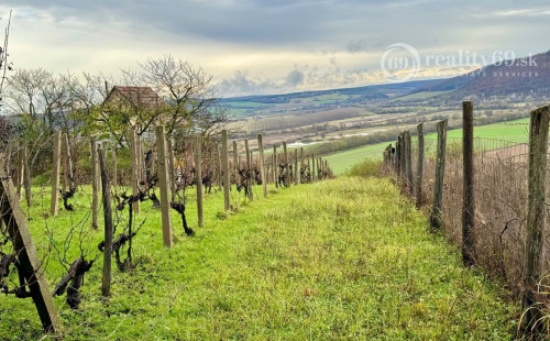 MAĎARSKO - BODVASZILAS VINNÁ PIVNICA, CHATA< S POZEMKOM 3000 M2.