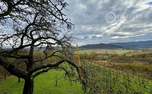 MAĎARSKO - BODVASZILAS VINNÁ PIVNICA, CHATA< S POZEMKOM 3000 M2.