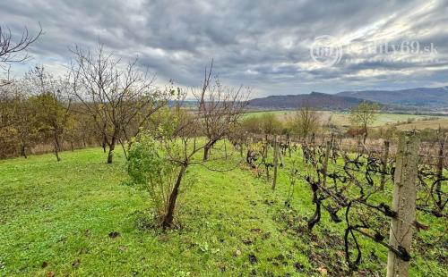 MAĎARSKO - BODVASZILAS VINNÁ PIVNICA, CHATA< S POZEMKOM 3000 M2.