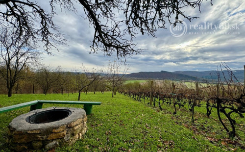 MAĎARSKO - BODVASZILAS VINNÁ PIVNICA, CHATA< S POZEMKOM 3000 M2.