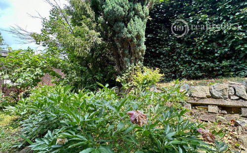 VYŠNÁ HUTKA -  DREVENÁ CHATA S KUCHYNKOU, TERASA, SKLAD, UPRAVENÝ POZEMOK.