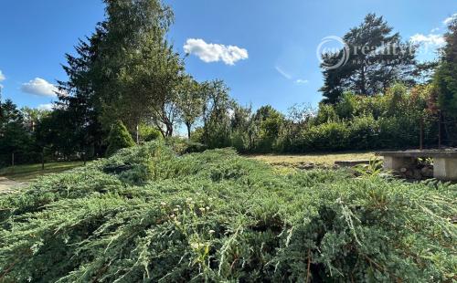 MAĎARSKO - JAZERO RAKACA - MUROVANÁ CHATA - PRI JAZERE S TERASOU.