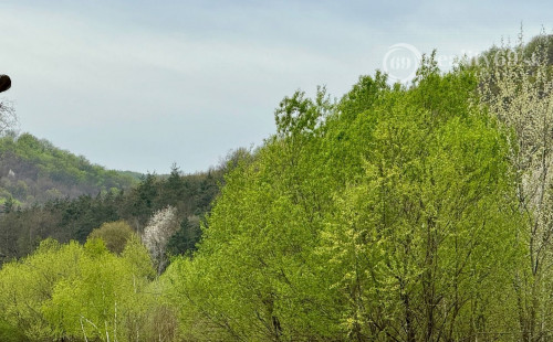 MAĎARSKO - PALHÁZA - KISHUTA POZEMOK 75.000 M2 V LONE PRÍRODY.
