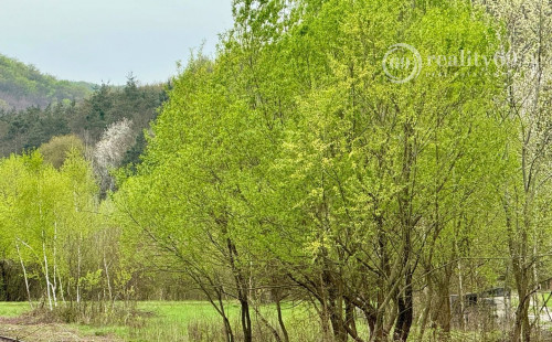 MAĎARSKO - PALHÁZA - KISHUTA POZEMOK 75.000 M2 V LONE PRÍRODY.