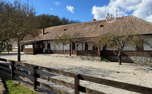 MAĎARSKO - MESZES PEKNÝ 4 IZBOVÝ GAZDOVSKÝ DOM, PO REKONŠTRUKCII - VEĽKÝ POZEMOK 2.425 M2