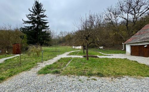 MAĎARSKO - MESZES PEKNÝ 4 IZBOVÝ GAZDOVSKÝ DOM, PO REKONŠTRUKCII - VEĽKÝ POZEMOK 2.425 M2