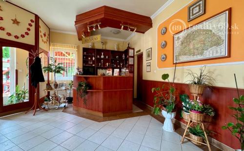 MAĎARSKO - MEZŐKÖVESD PENZIÓN S 13 APARTMÁNMI, TERASA, REŠTAURÁCIA V TOP LOKALITE