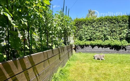 KOŠICKÁ NOVÁ VES - 4 IZBOVÝ  BYT 90 M2,  TERASA 20 M2, PREDZÁHRADKA 60 M2.