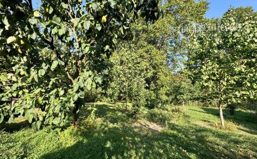 MAĎARSKO - HEJCE SUPER RODINNÝ DOM - PENZIÓN NÁDHERNÉ MIESTO.