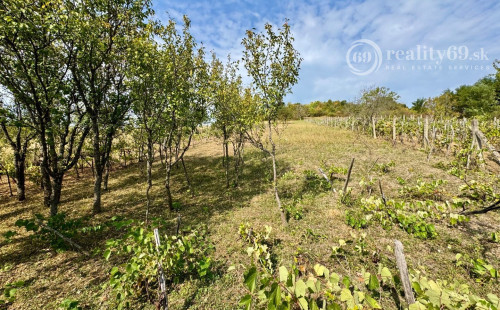 REZERVOVANÉ - MAĎARSKO - BODVASZILAS VINNÁ PIVNICA, CHATA S POZEMKOM 1500 M2.