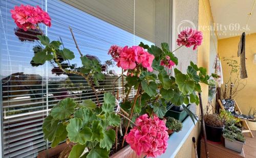 DARGOVSKÝCH HRDINOV -  MAUREROVA PEKNÝ 3 IZBOVÝ BYT, LOGGIA, PIVNICA