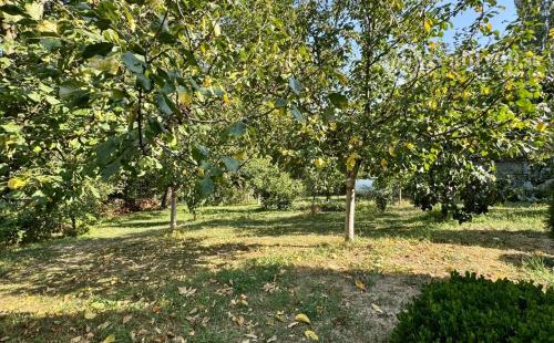 MAĎARSKO - HEJCE SUPER RODINNÝ DOM - PENZIÓN NÁDHERNÉ MIESTO.