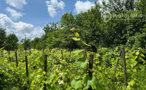 MAĎARSKO - PERKUPA  PERFEKTNÝ 4 IZBOVÝ RD V PEKNOM PROSTREDÍ.