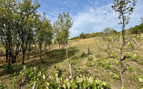 MAĎARSKO - BODVASZILAS VINNÁ PIVNICA, CHATA S POZEMKOM 1500 M2.