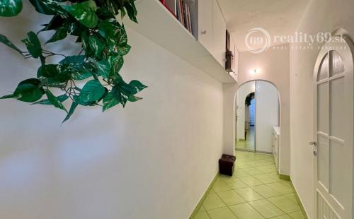 TERASA - BRIGÁDNICKA PEKNÝ 3 IZBOVÝ BYT 59 M2, LODŽIA, KOMPLETNE ZARIADENÝ.