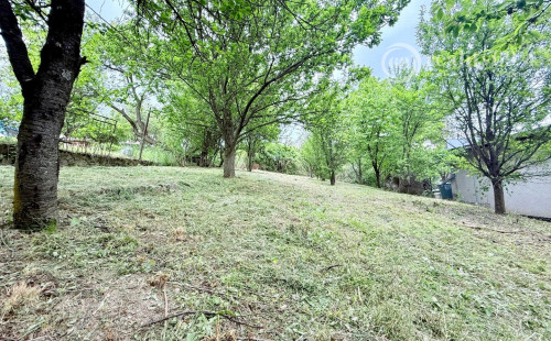VYŠNÉ OPÁTSKE - SUPER CENA ZÁHRADA  VČELÁRSKA PASEKA