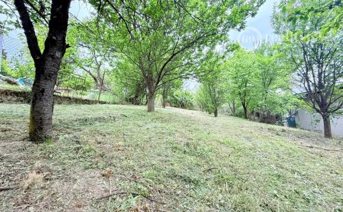 VYŠNÉ OPÁTSKE - SUPER CENA ZÁHRADA  VČELÁRSKA PASEKA