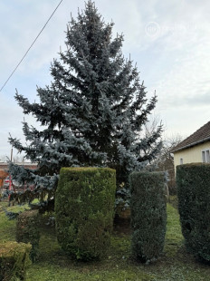 MAĎARSKO - ENCS - 3 IZBOVÝ RODINNÝ DOM S TERASOU, DVOJGARÁŽ, VÝBORNÝ STAV, S PEKNOU UDRŽIAVANOU ZÁHRADOU.