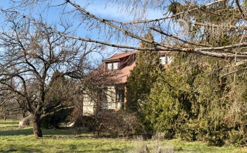 MAĎARSKO - GONC 6 IZBOVÝ POSCHODOVÝ RD S TERASOU, PIVNICOU, GARÁŽ, POZEMOK 1661 M2.