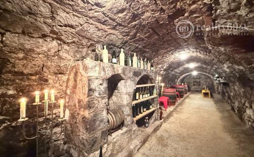 MAĎARSKO - ABAÚJSZÁTÓ - FUNKČNÁ VINNÁ PIVNICA PRE GURMÁNOV.