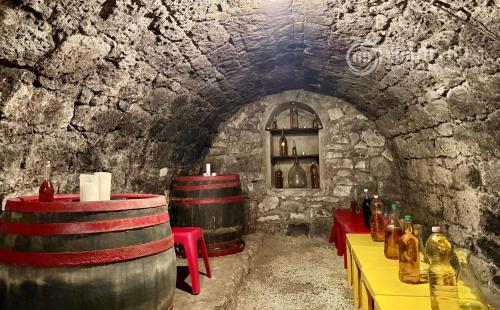 MAĎARSKO - ABAÚJSZÁTÓ - FUNKČNÁ VINNÁ PIVNICA PRE GURMÁNOV.