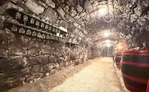 MAĎARSKO - ABAÚJSZÁTÓ - FUNKČNÁ VINNÁ PIVNICA PRE GURMÁNOV.