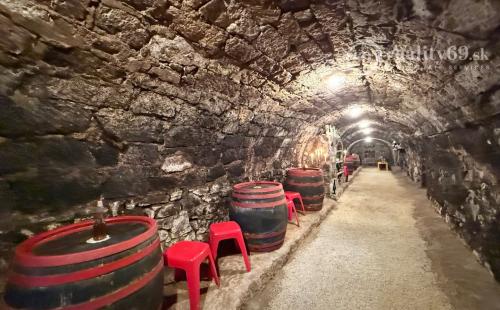 MAĎARSKO - ABAÚJSZÁTÓ - FUNKČNÁ VINNÁ PIVNICA PRE GURMÁNOV.