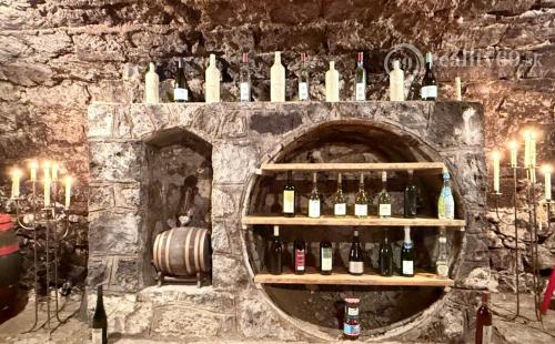 MAĎARSKO - ABAÚJSZÁTÓ - FUNKČNÁ VINNÁ PIVNICA PRE GURMÁNOV.