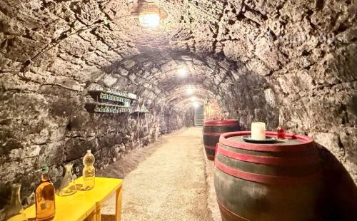 MAĎARSKO - ABAÚJSZÁTÓ - FUNKČNÁ VINNÁ PIVNICA PRE GURMÁNOV.