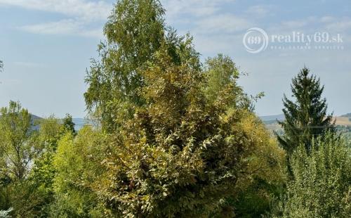 MAĎARSKO - JAZERO RAKACA - POSCHODOVÁ 4 IZBOVÁ CHATA, KUCHYŇA, PRI JAZERE S TERASOU.