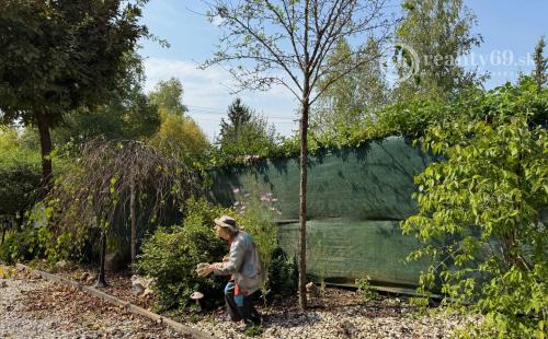 MAĎARSKO - JAZERO RAKACA - POSCHODOVÁ 4 IZBOVÁ CHATA, KUCHYŇA, PRI JAZERE S TERASOU.