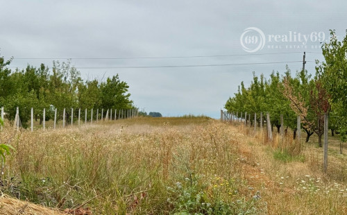 MAĎARSKO - FORRÓ / ENCS - ABÚJDEVECSER  - 3 IZBOVÝ DOM IHNEĎ OBÝVATEĽNÝ