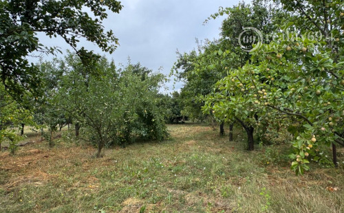 MAĎARSKO - FORRÓ / ENCS - ABÚJDEVECSER  - 3 IZBOVÝ DOM IHNEĎ OBÝVATEĽNÝ