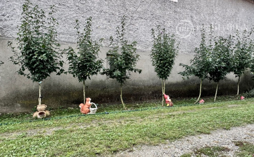 MAĎARSKO - MÁRTONYI - PEKNÝ 4 IZBOVÝ RD V KRÁSNEJ LOKALITE BLÍZKO JAZERA RAKACA.