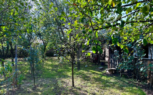 MAĎARSKO - SZENDRO  4 IZBOVÝ RODINNÝ DOM NA KĽUDNOM MIESTE