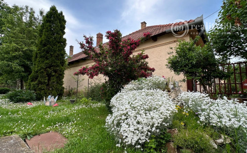 MAĎARSKO - MÉRA 3 IZBOVÝ RODINNÝ DOM S GARÁŽOU S MOŽNOSŤOU DOBUDOVANIA PODKROVIA.