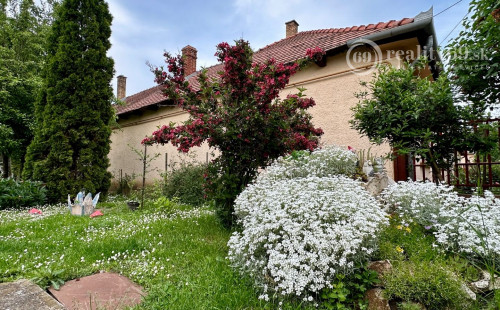 MAĎARSKO - MÉRA 3 IZBOVÝ RODINNÝ DOM S GARÁŽOU S MOŽNOSŤOU DOBUDOVANIA PODKROVIA.