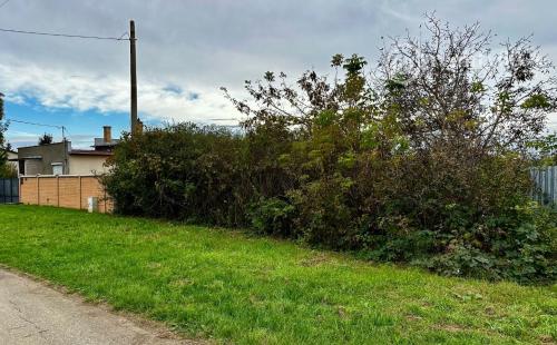 DRIENOVEC - STAVEBNÝ POZEMOK 1.000 M2 NA KĽUDNOM MIESTE V LOKALITE NOVÝCH RD.