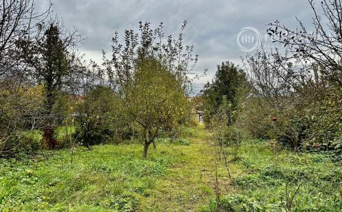 DRIENOVEC - STAVEBNÝ POZEMOK 1.000 M2 NA KĽUDNOM MIESTE V LOKALITE NOVÝCH RD.