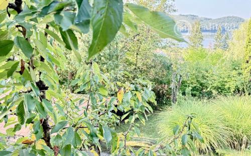 MAĎARSKO - JAZERO RAKACA - 4 IZBOVÁ CHATA, TERASA, VÍRIVKA.