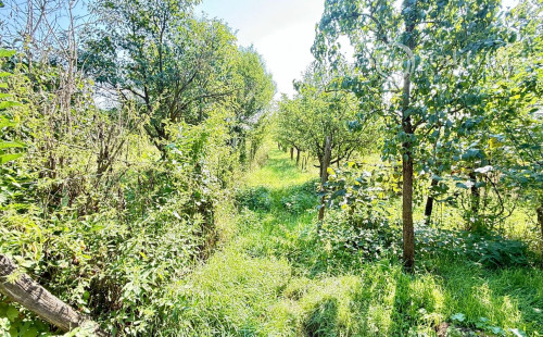 MAĎARSKO - SZALONNA 4 IZBOVÝ RODINNÝ DOM NA KĽUDNOM MIESTE