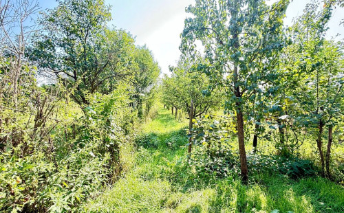 MAĎARSKO - SZALONNA 4 IZBOVÝ RODINNÝ DOM NA KĽUDNOM MIESTE