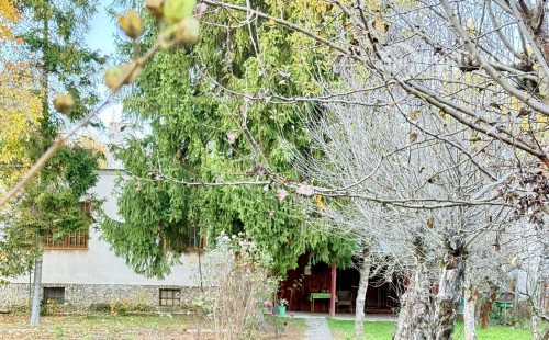 ZELENÝ DVOR - MONČÍ POTOK - POSCHODOVÁ CHATA 50 M2, POZEMOK 1.042